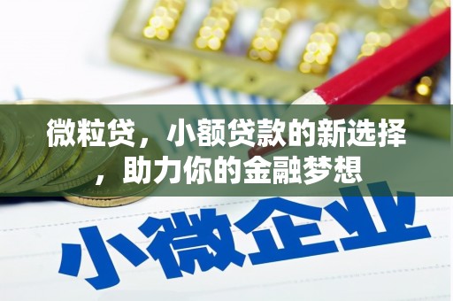 马龙微粒贷，小额贷款的新选择，助力你的金融梦想