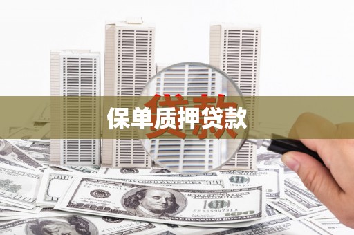 潮南保单质押贷款