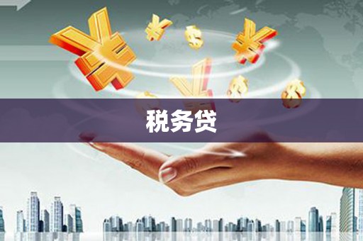 潮南税务贷