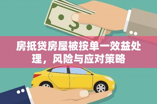 夹江房抵贷房屋被按单一效益处理，风险与应对策略