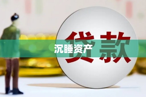 南召沉睡资产