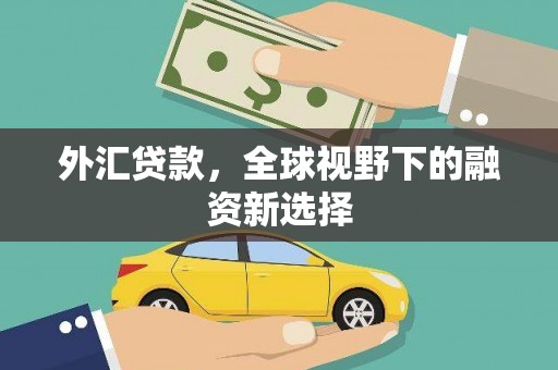 湛河外汇贷款，全球视野下的融资新选择