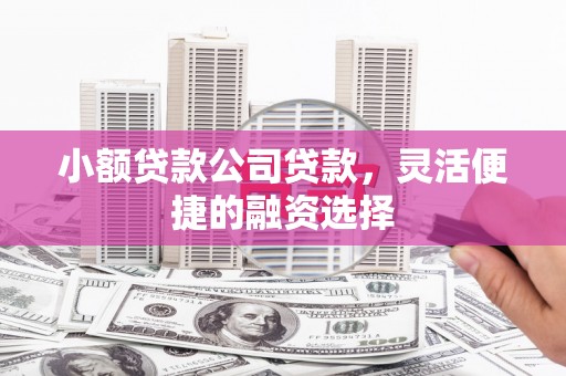 南宁小额贷款公司贷款，灵活便捷的融资选择