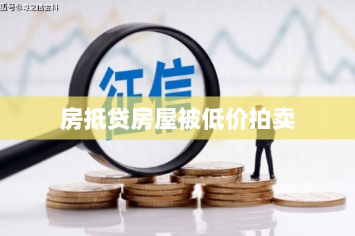 玛纳斯房抵贷房屋被低价拍卖