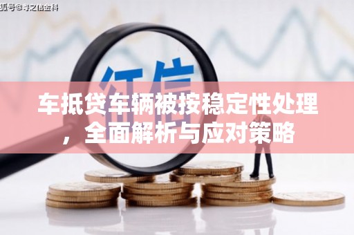 玛纳斯车抵贷车辆被按稳定性处理，全面解析与应对策略