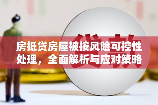疏勒房抵贷房屋被按风险可控性处理，全面解析与应对策略