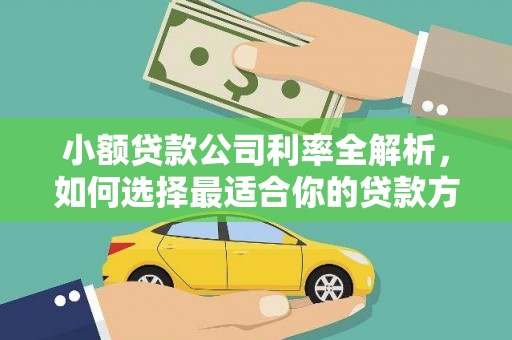 保亭小额贷款公司利率全解析，如何选择最适合你的贷款方案？