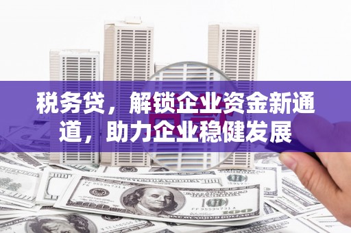 保亭税务贷，解锁企业资金新通道，助力企业稳健发展
