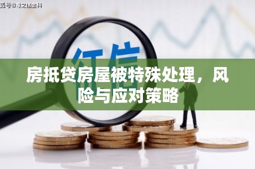 马边房抵贷房屋被特殊处理，风险与应对策略