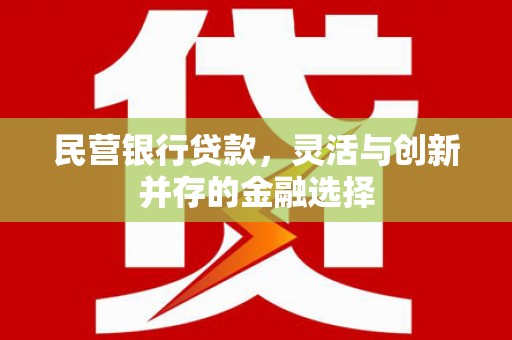 林口民营银行贷款，灵活与创新并存的金融选择