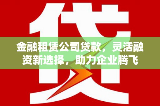 林口金融租赁公司贷款，灵活融资新选择，助力企业腾飞