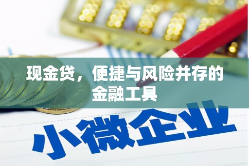 稻城现金贷，便捷与风险并存的金融工具