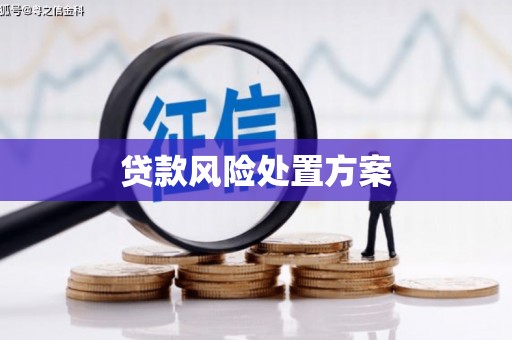 武功贷款风险处置方案