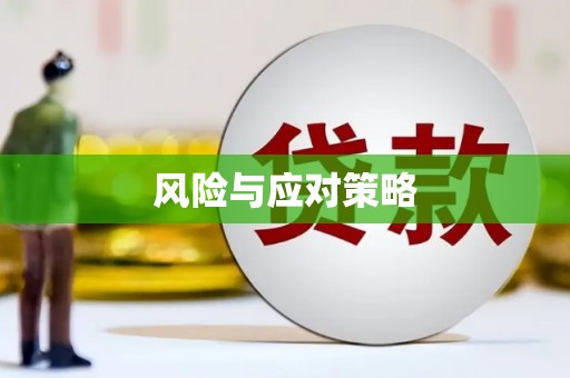 武川风险与应对策略