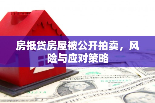 叶城房抵贷房屋被公开拍卖，风险与应对策略