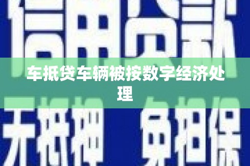 浦江车抵贷车辆被按数字经济处理
