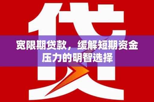 沣西宽限期贷款，缓解短期资金压力的明智选择