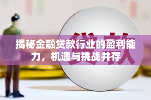 中站揭秘金融贷款行业的盈利能力，机遇与挑战并存