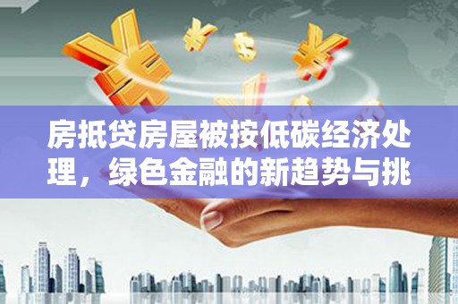 大武房抵贷房屋被按低碳经济处理，绿色金融的新趋势与挑战