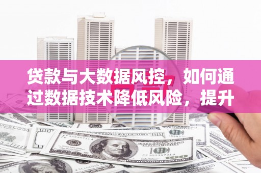 资溪贷款与大数据风控，如何通过数据技术降低风险，提升贷款效率