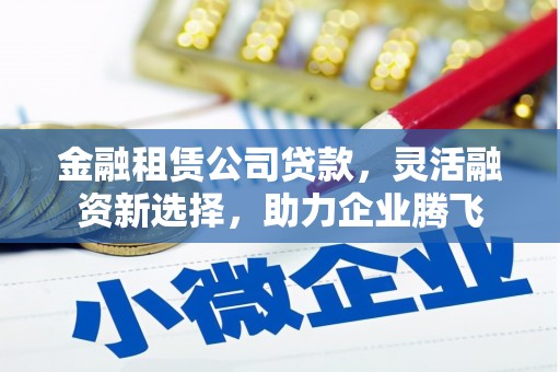 雨湖金融租赁公司贷款，灵活融资新选择，助力企业腾飞
