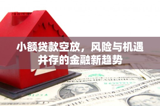 瑞穗小额贷款空放，风险与机遇并存的金融新趋势