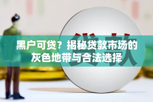 中站黑户可贷？揭秘贷款市场的灰色地带与合法选择