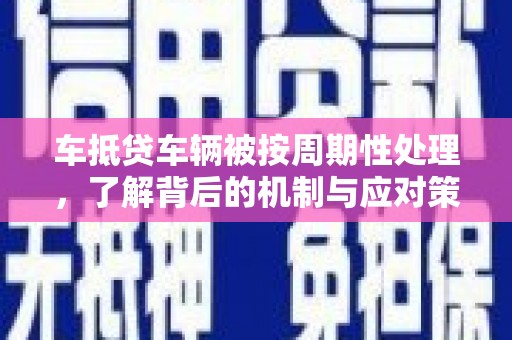 新林车抵贷车辆被按周期性处理，了解背后的机制与应对策略