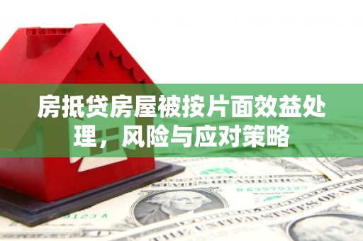 新源房抵贷房屋被按片面效益处理，风险与应对策略