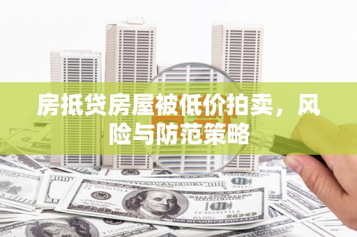 四湖房抵贷房屋被低价拍卖，风险与防范策略