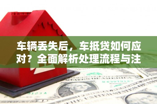 天长车辆丢失后，车抵贷如何应对？全面解析处理流程与注意事项