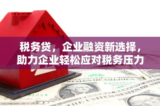 兰州税务贷，企业融资新选择，助力企业轻松应对税务压力