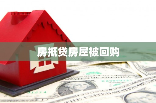 广元房抵贷房屋被回购