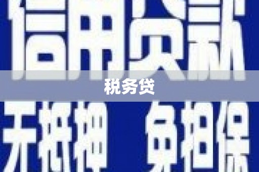 南州税务贷