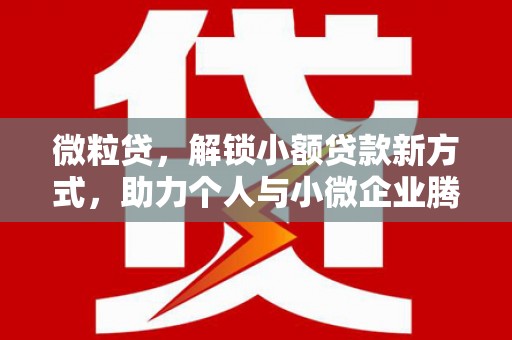 江西微粒贷，解锁小额贷款新方式，助力个人与小微企业腾飞