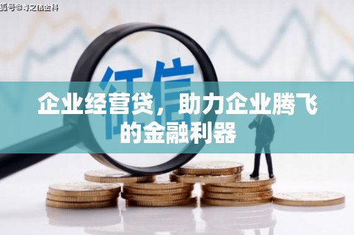 赞皇企业经营贷，助力企业腾飞的金融利器