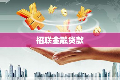 武邑招联金融贷款
