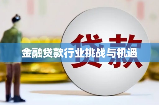 如东金融贷款行业挑战与机遇