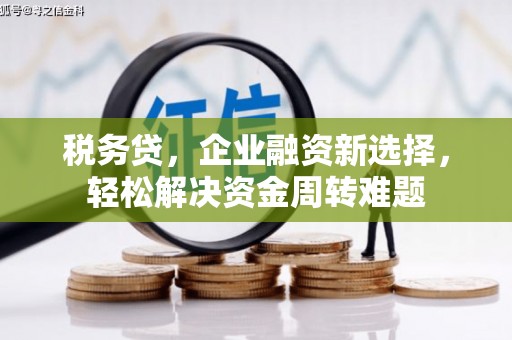 周宁税务贷，企业融资新选择，轻松解决资金周转难题