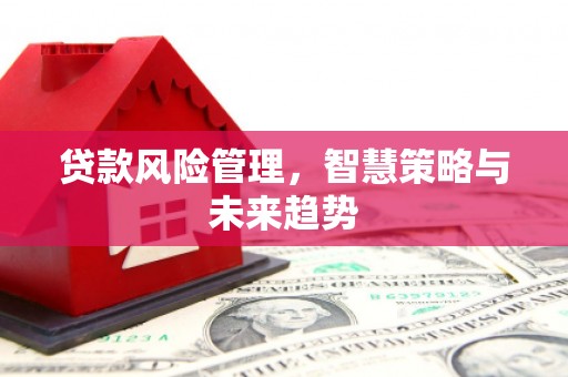 铁岭贷款风险管理，智慧策略与未来趋势