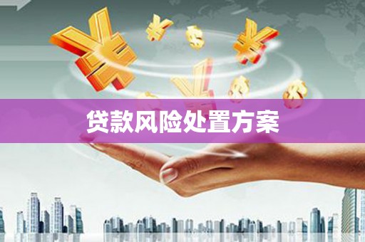 炉霍贷款风险处置方案