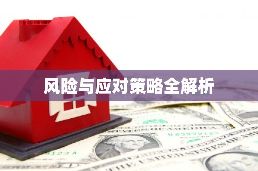 长宁风险与应对策略全解析