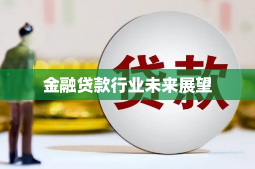 兴宁金融贷款行业未来展望