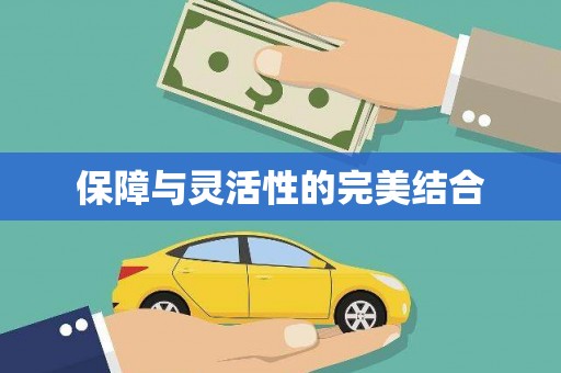 南沙保障与灵活性的完美结合