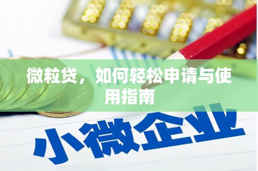 珲春微粒贷，如何轻松申请与使用指南
