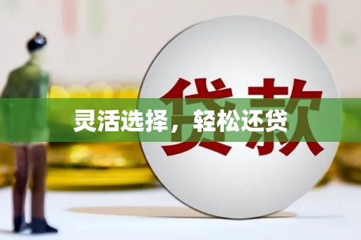 南海灵活选择，轻松还贷