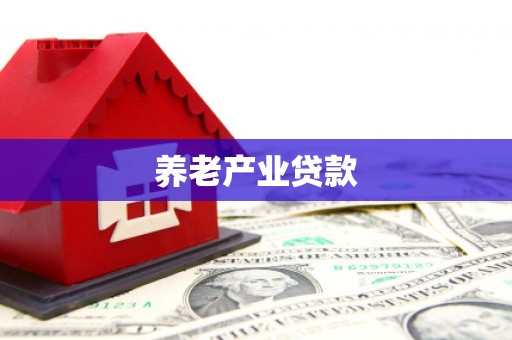 汶上养老产业贷款