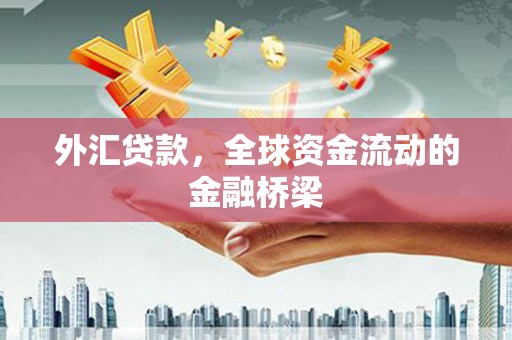 赤城外汇贷款，全球资金流动的金融桥梁