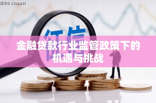 赤城金融贷款行业监管政策下的机遇与挑战