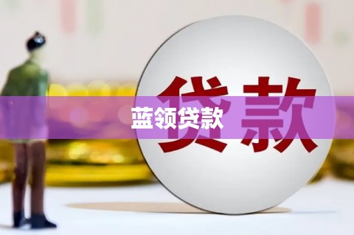 海原蓝领贷款